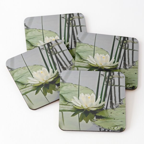Item preview, Waterlily designed and sold by Michael Cummings.