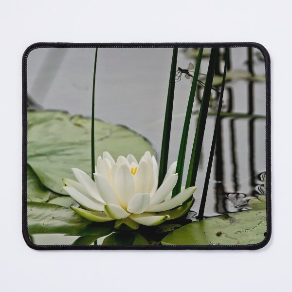 Item preview, Waterlily designed and sold by Michael Cummings.