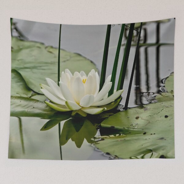 Item preview, Waterlily designed and sold by Michael Cummings.