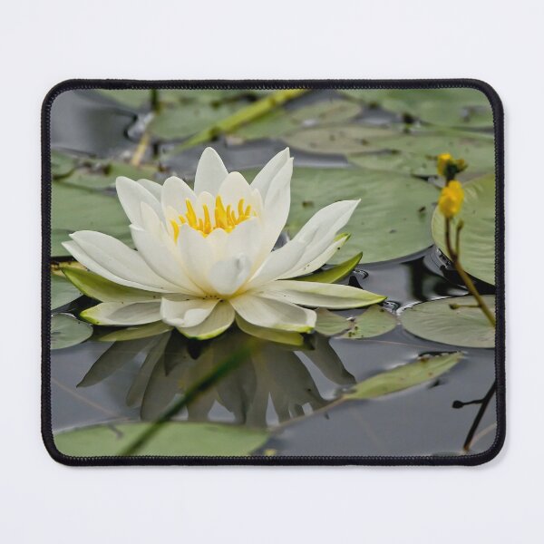 Item preview, White Waterlily designed and sold by Michael Cummings.