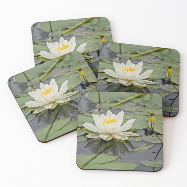 Item preview, White Waterlily designed and sold by Michael Cummings.