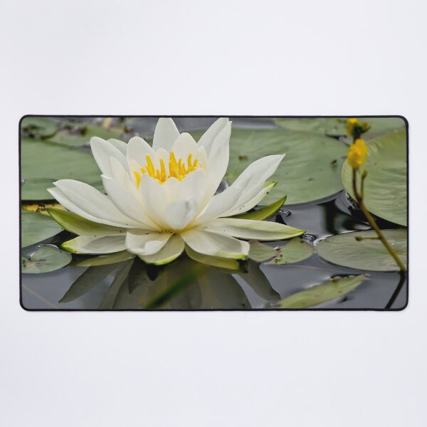 Item preview, White Waterlily designed and sold by Michael Cummings.