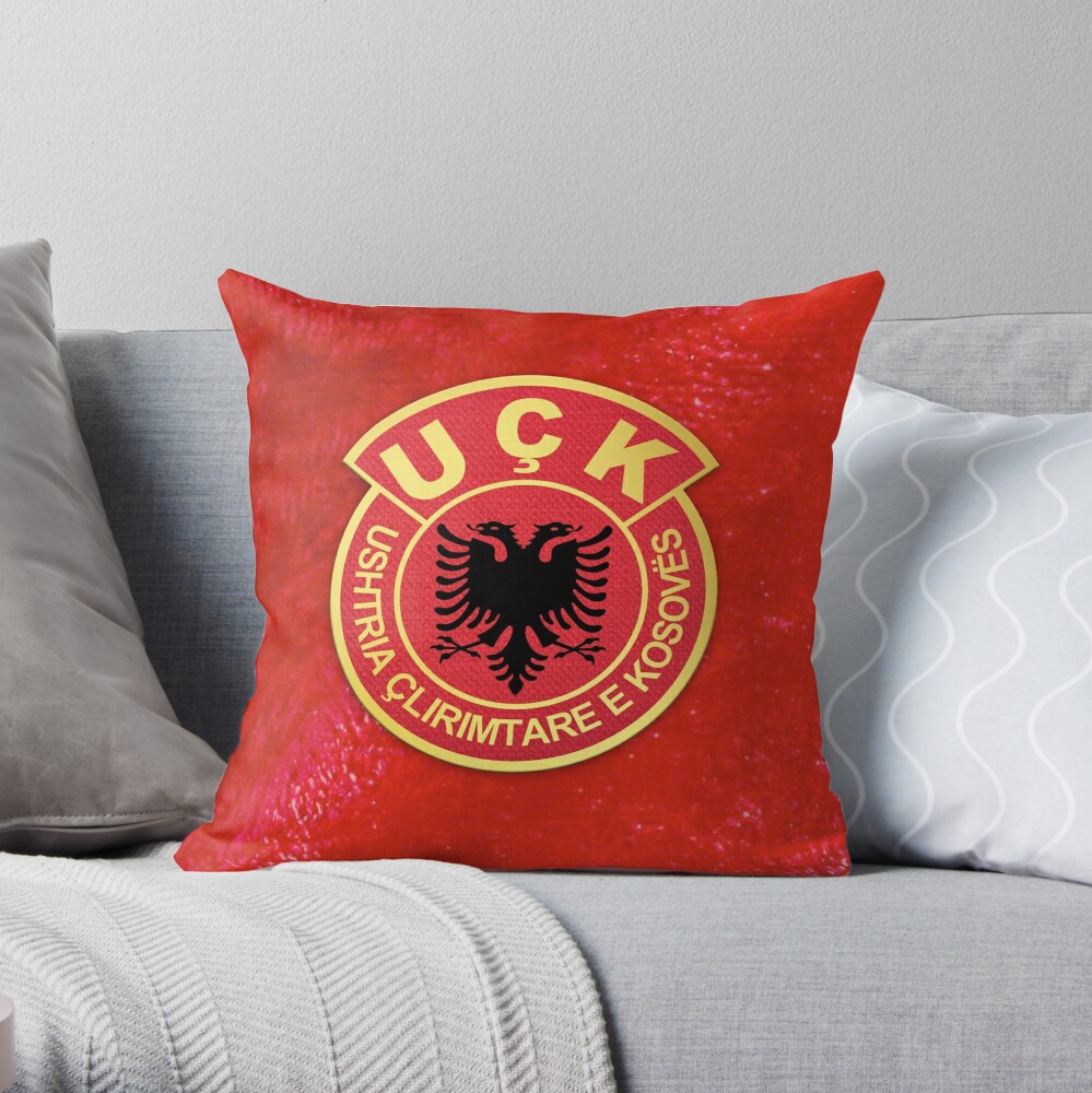 https://ih1.redbubble.net/image.2861164693.0863/throwpillow,small,1000x-bg,f8f8f8-c,0,200,1000,1000.jpg