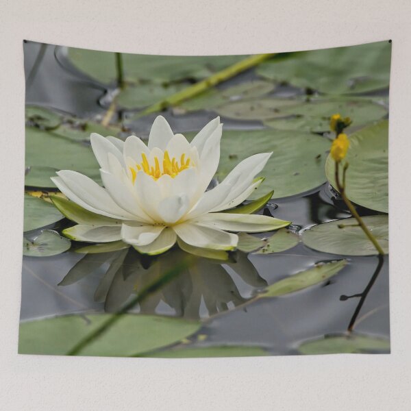 Item preview, White Waterlily designed and sold by Michael Cummings.
