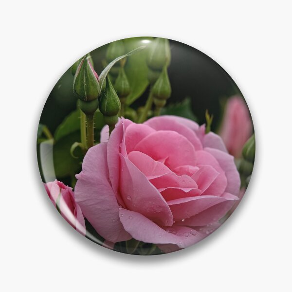 Item preview, Pink Roses designed and sold by Michael Cummings.
