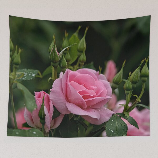 Item preview, Pink Roses designed and sold by Michael Cummings.