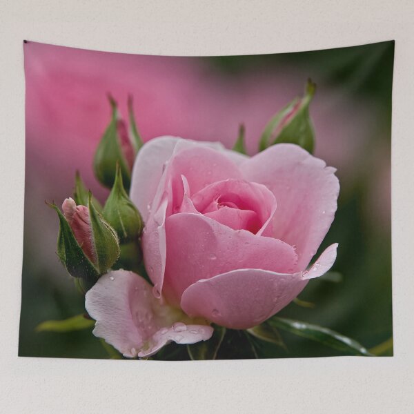 Item preview, Pink Rose designed and sold by Michael Cummings.