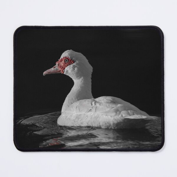 Item preview, Muscovy Red Face Duck Duck Go Ducks designed and sold by Jason Gilbert.