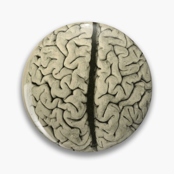 Item preview, Kishu's Cerebrum ...I guess Kishu didn't need it anymore. designed and sold by IXXIN.