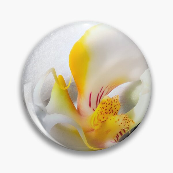 Item preview, inside an orchid designed and sold by FotoMahieu.
