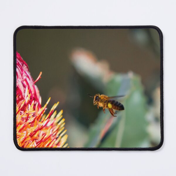 Item preview, Flying bee bee collecting banksia pollen with bees designed and sold by Jason Gilbert.