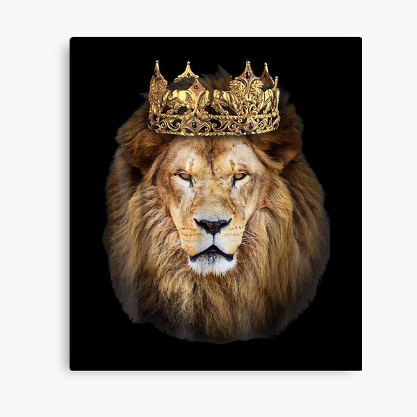 As Lion Wild SINGLE CANVAS WALL ART Pe P VA C $43.02 zahiraccounting.com