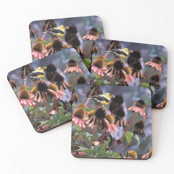 Item preview, Goldfinch on My Echinacea  designed and sold by Bill Spengler's Photographic Thoughts.