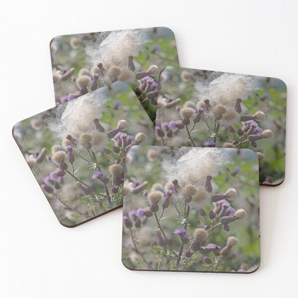 Item preview, Field Thistle 2 designed and sold by Calidris Fotografie Steffi & Ben Köppler.