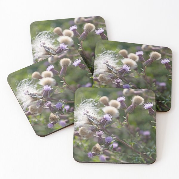 Item preview, Field Thistle 3 designed and sold by Calidris Fotografie Steffi & Ben Köppler.
