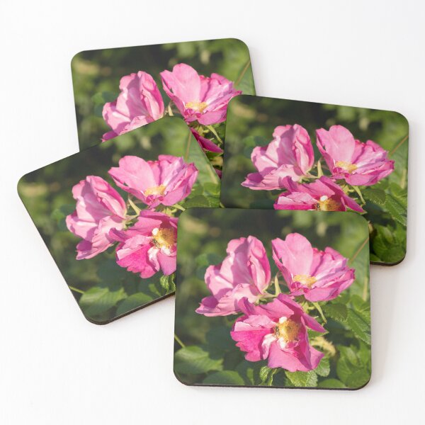 Item preview, Dog Rose designed and sold by Calidris Fotografie Steffi & Ben Köppler.