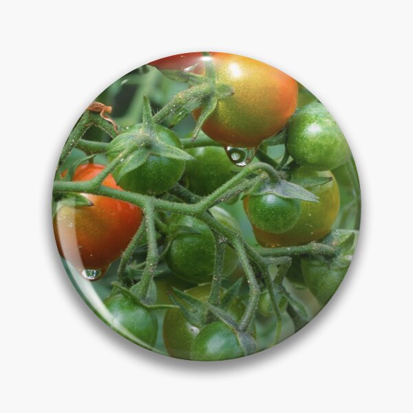 Artikelvorschau, Nasse Kirschtomaten entworfen und verkauft von Bill Spengler's Photographic Thoughts.