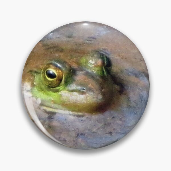 Item preview, Peeking Peeper In Spring Swamp Water (not a recipe) designed and sold by Jean Gregory Evans.