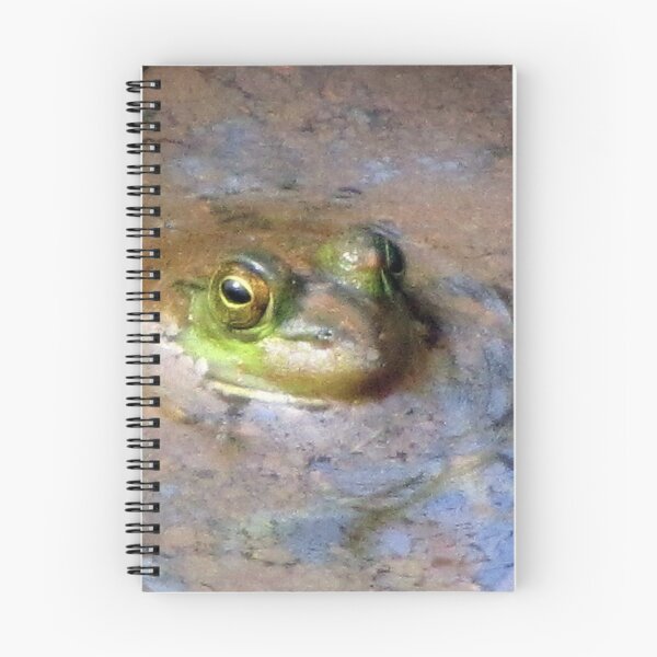 Item preview, Peeking Peeper In Spring Swamp Water (not a recipe) designed and sold by Jean Gregory Evans.