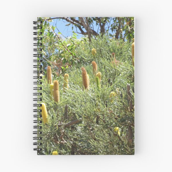 Item preview, Baldivis Banksia designed and sold by lezvee.