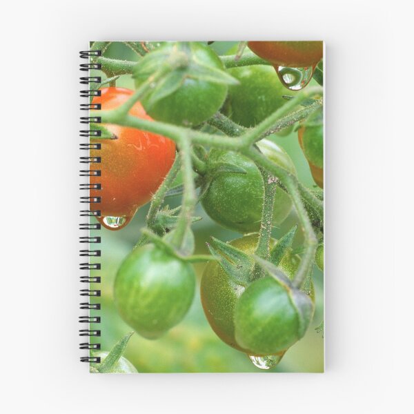 Item preview, Cherry Tomatoes designed and sold by Bill Spengler's Photographic Thoughts.