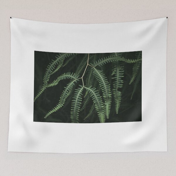 Item preview, A jungle plant close up | Brazil designed and sold by photofelix-.