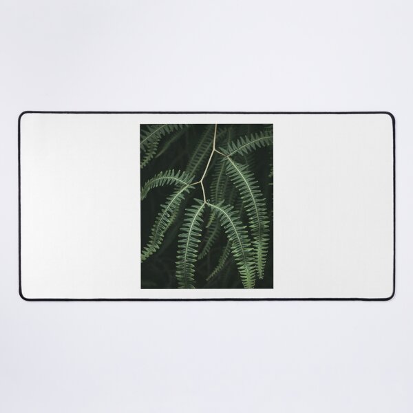 A jungle plant close up | Brazil Desk Mat