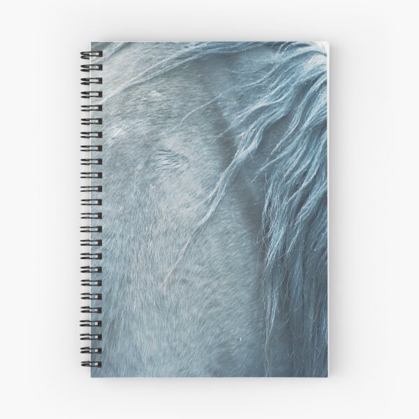 Item preview, Horse mane, elegant fine art print n°1, for animal lovers, interior design, home decor, still life designed and sold by Spallutos.