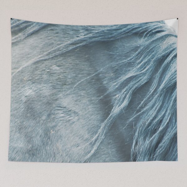 Item preview, Horse mane, elegant fine art print n°1, for animal lovers, interior design, home decor, still life designed and sold by Spallutos.
