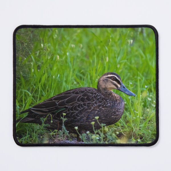 Item preview, Duck duck go ducks in the grass designed and sold by Jason Gilbert.