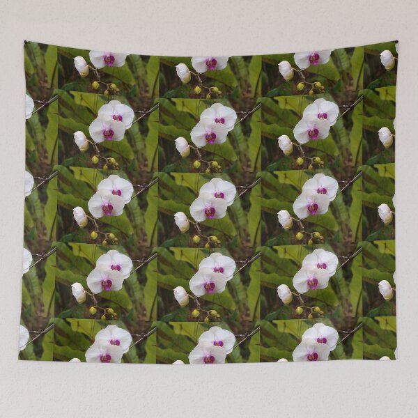 Item preview, Orchid, Phalanopsis. designed and sold by ginnymac.
