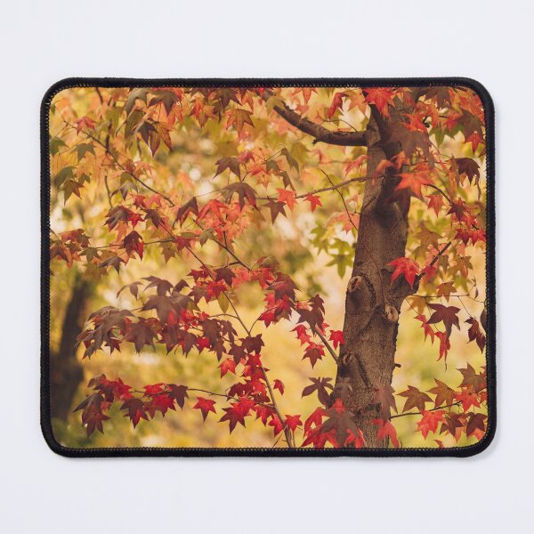 Item preview, Autum tree , autumn colors designed and sold by ninasclicks.