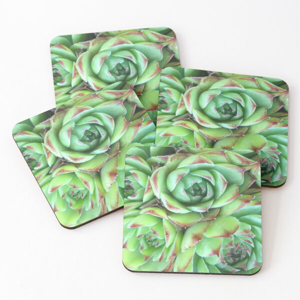 Item preview, Cactus designed and sold by GasconyPassion.