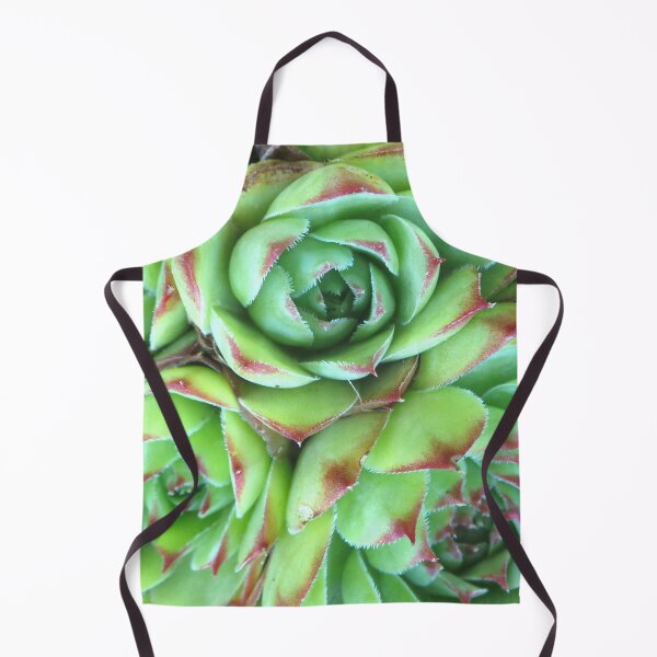 Item preview, Cactus designed and sold by GasconyPassion.