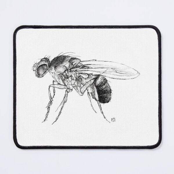 Item preview, Fruit Fly Design designed and sold by Maisy Inston.