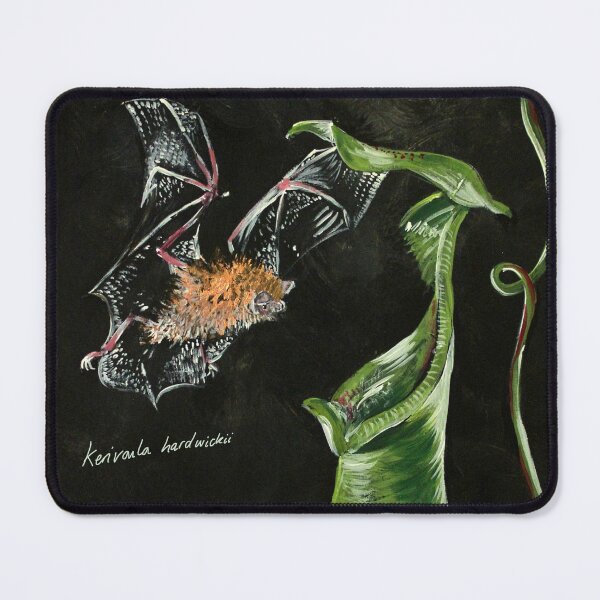 Item preview, Woolly Bat Design designed and sold by Maisy Inston.