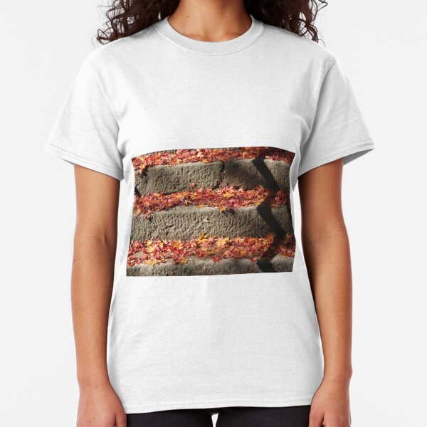 Hoshi nobori Classic T-Shirt