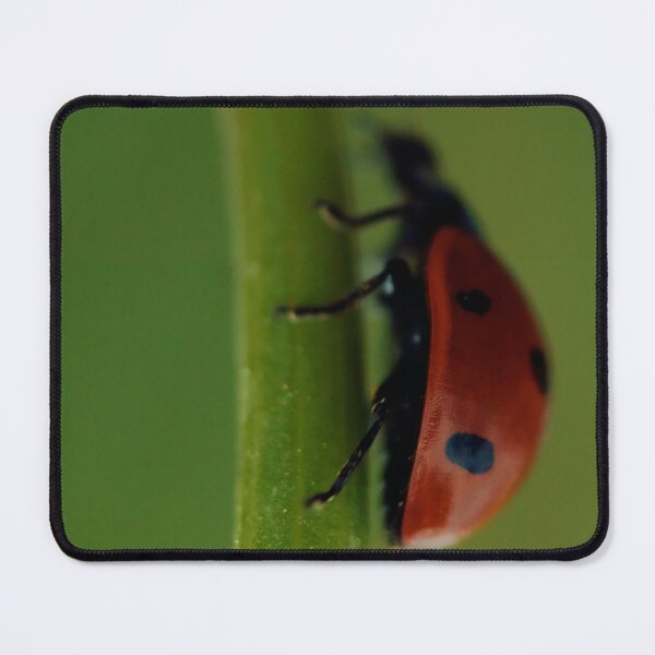 Item preview, Ladybird, Macro, Still Life, Fine Art, Print, Ladybug climbing leaf, Nature designed and sold by Spallutos.