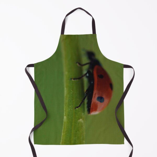 Item preview, Ladybird, Macro, Still Life, Fine Art, Print, Ladybug climbing leaf, Nature designed and sold by Spallutos.