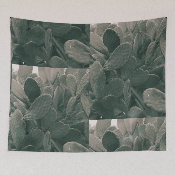 Item preview, Prickly Pear leaves, Macro, high quality Photo, still life, Cactus, fine art, photography, glicée, print, nature, lover, photo 2 of 2 designed and sold by Spallutos.