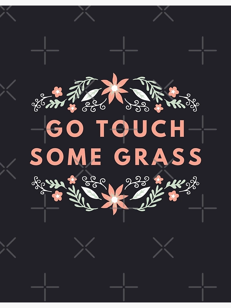 Funny Meme Gift Touch Grass Poster for Sale by kmcollectible