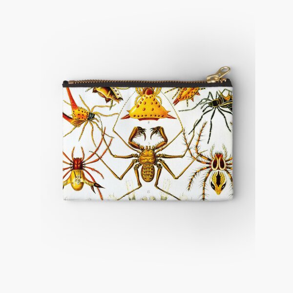 Item preview, Haeckel Arachnida Spiders designed and sold by Go Logo Designs.
