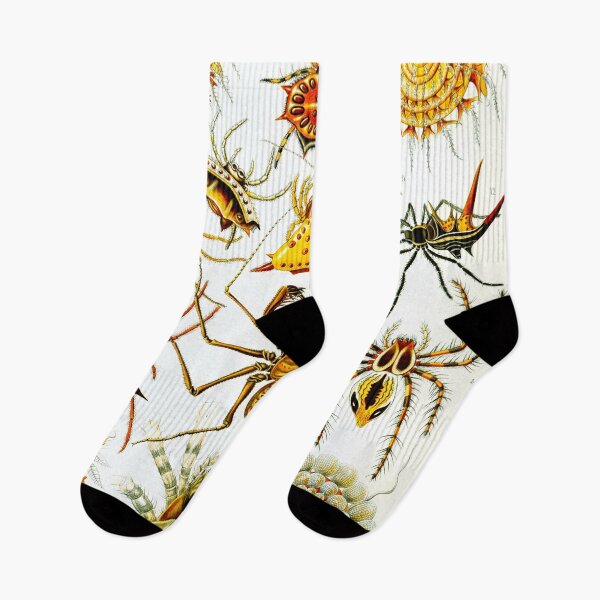 Item preview, Haeckel Arachnida Spiders designed and sold by Go Logo Designs.