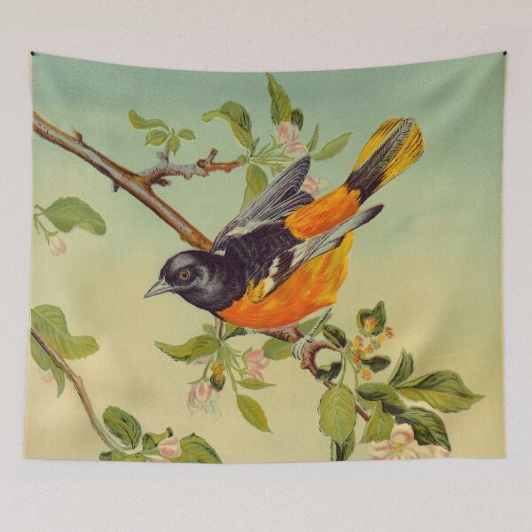 Item preview, The Baltimore Oriole - Obra de arte de 1880 designed and sold by retrochoose.