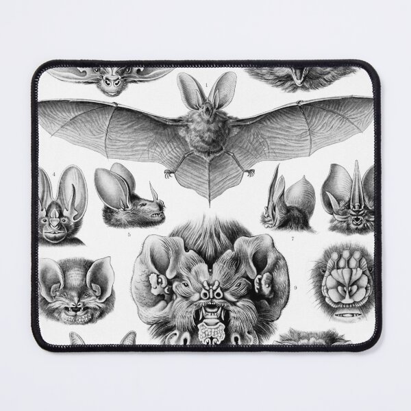 Item preview, Haeckel Chiroptera  designed and sold by Go Logo Designs.