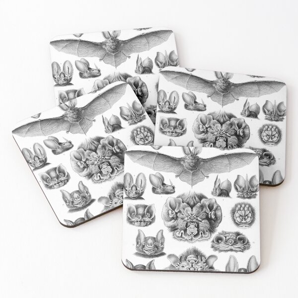 Item preview, Haeckel Chiroptera  designed and sold by Go Logo Designs.