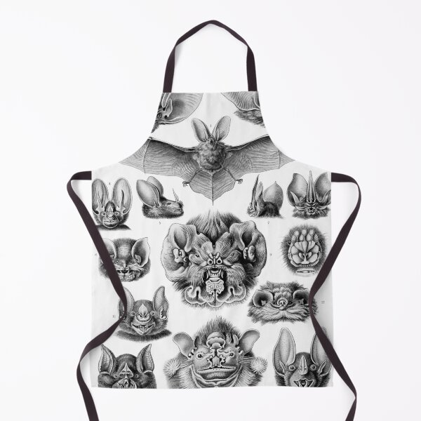 Item preview, Haeckel Chiroptera designed and sold by Go Logo Designs.
