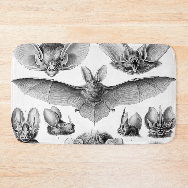 Item preview, Haeckel Chiroptera  designed and sold by Go Logo Designs.