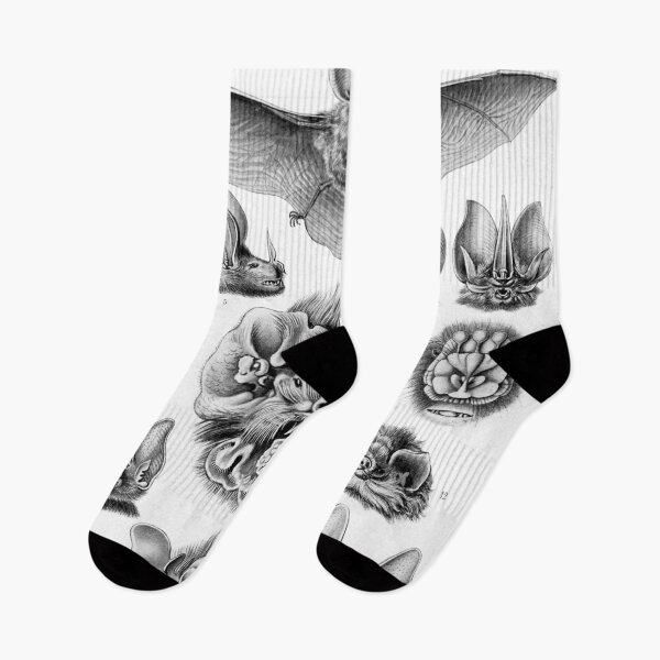 Item preview, Haeckel Chiroptera  designed and sold by Go Logo Designs.
