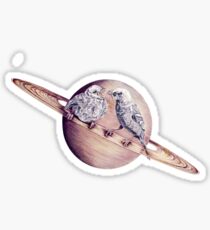 In which bird watching may require the aid of a telescope Sticker